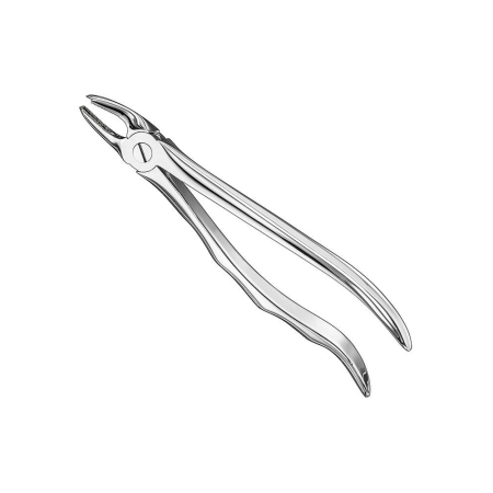 Extracting forceps, anat.